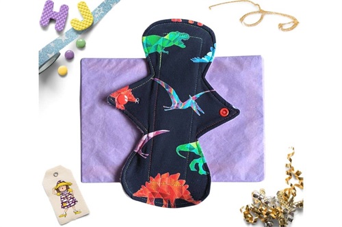Buy  9 inch Cloth Pad Rainbowsaurs now using this page